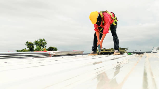 Best Storm Damage Roof Repair  in Clermont, IN