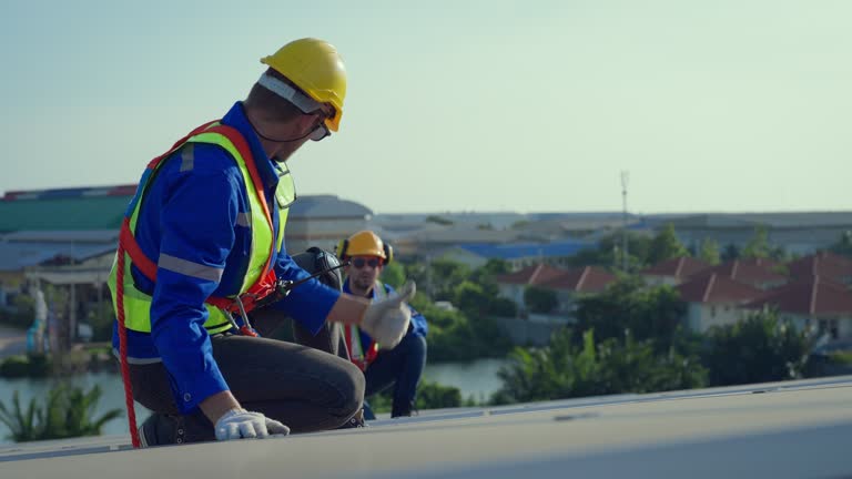 Best Roof Moss and Algae Removal  in Clermont, IN